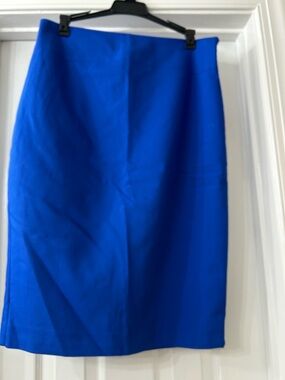 Express Bold Blue Pencil Skirt